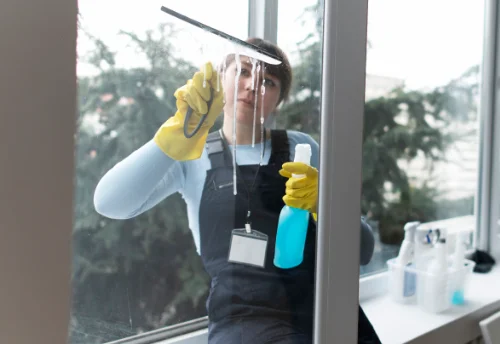Nettoyage de vitres intérieures et extérieures à Bazolles